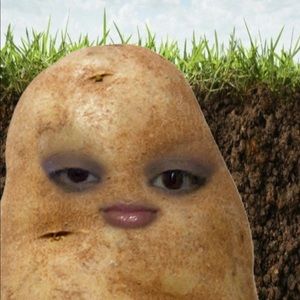 Meet your Posher, Xandalee